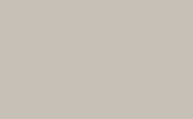 Best image for BD Background Paper Roll half-size PHOTOGRAPHER GRAY