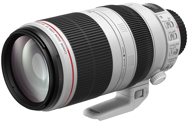 Best image for Canon EF 100-400mm f/4.5-5.6L IS II USM