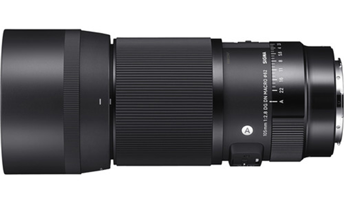 Best image for Sigma 105mm f/2.8 DG DN Macro Art - L mount
