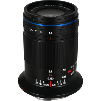 Best image for Laowa 85mm f/5.6 2X Macro APO Canon RF