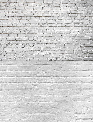 Best image for Krane 57x87cm 2 sides Backdrop WY-L31