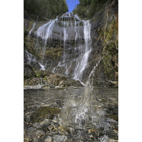1024936_D.jpg - Laowa 15mm f/4.5 Macro Lens (Canon EF, Auto-Aperture) - Image 4