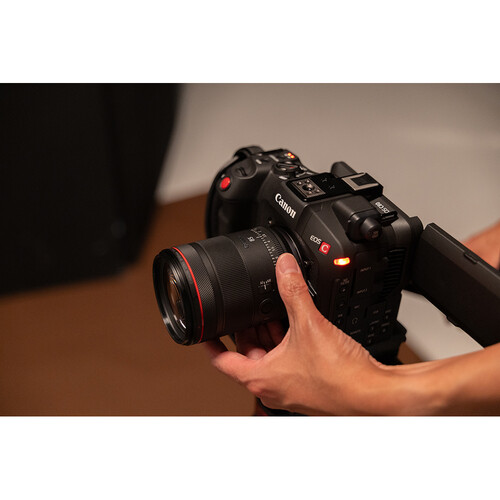 1025386_D.jpg - Canon RF 85mm f/1.4 L VCM Lens - Image 4