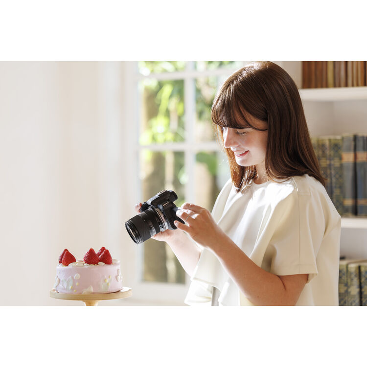 1027016_B.jpg - Tamron 16-50mm F2.8 A Lens - Sony E Mount - Image 2