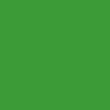 Best image for BD Background Roll Veri Green Full Length 2.72m x 11m