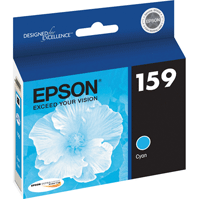 Epson Cyan Ink Cartridge - R2000 - Best Available Image