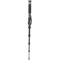 Best image for Gitzo GM2561T Traveler 6x CF Monopod