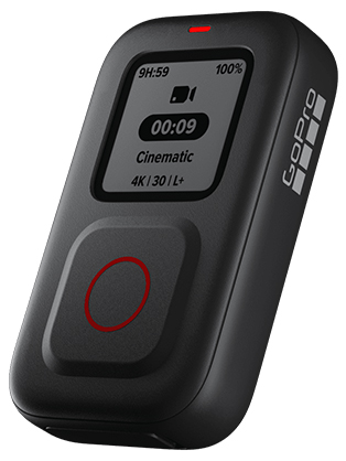 GoPro The Remote for All GoPro Cameras - Best Available Image