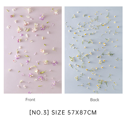 Best image for Krane 57x87cm 2 sides Backdrop WY-D03
