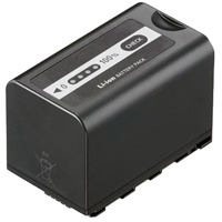 Panasonic VW-VBD58 Battery - X1000 - Best Available Image