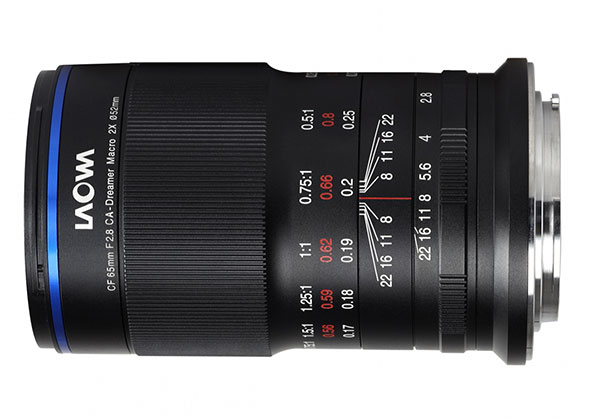 Best image for Laowa 65mm f/2.8 2X Ultra Macro Sony E