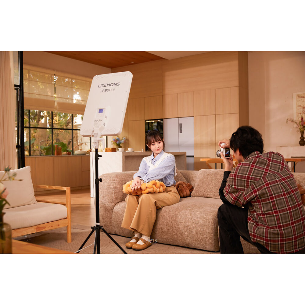 1026448_D.jpg - Godox Litemons LP800Bi Bi-Colour LED Light Panel - Image 4