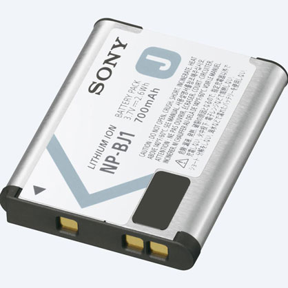 Sony RX0 Battery