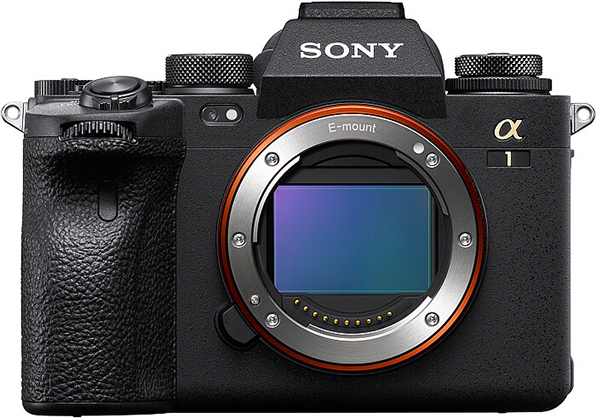 Best image for Sony Alpha A1 body
