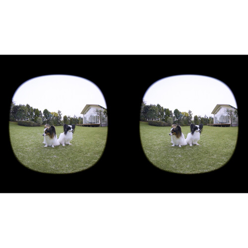 1023919_E.jpg - Canon RF-S 3.9mm f/3.5 STM Dual Fisheye Lens - Image 5