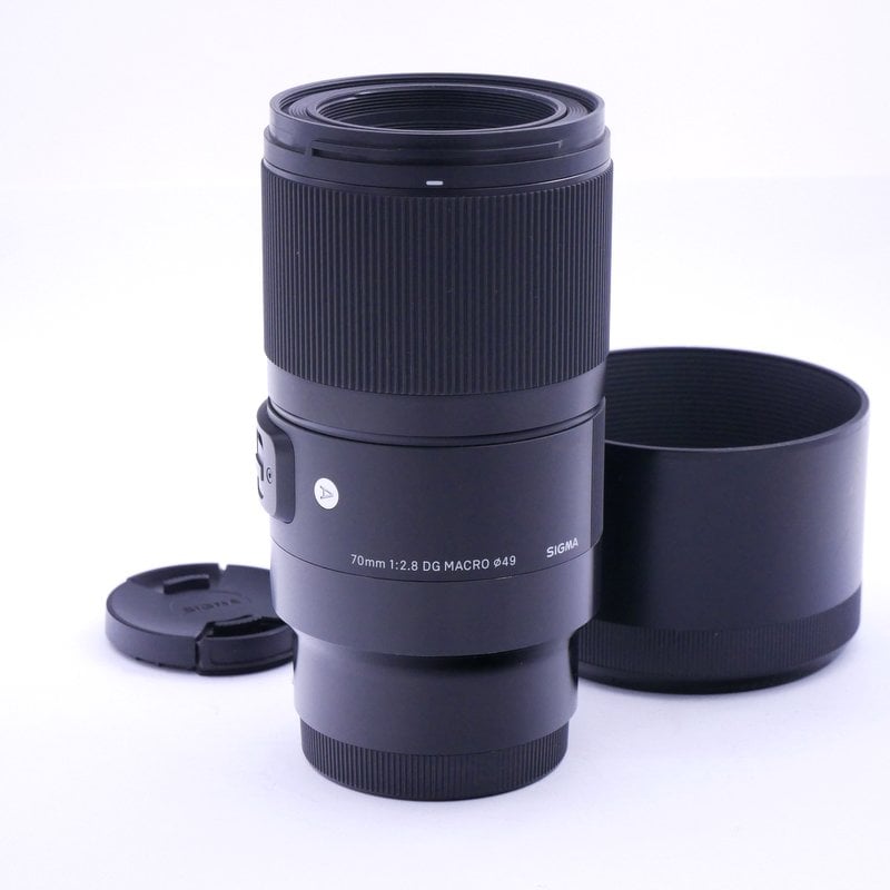 Best image for Sigma AF 70mm F/2.8 DG Macro Art Lens in Sony E Mount