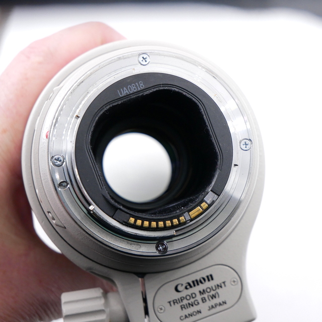 S-H-8E6SHK_6.jpg - Canon EF 300mm F/4 L IS USM Lens