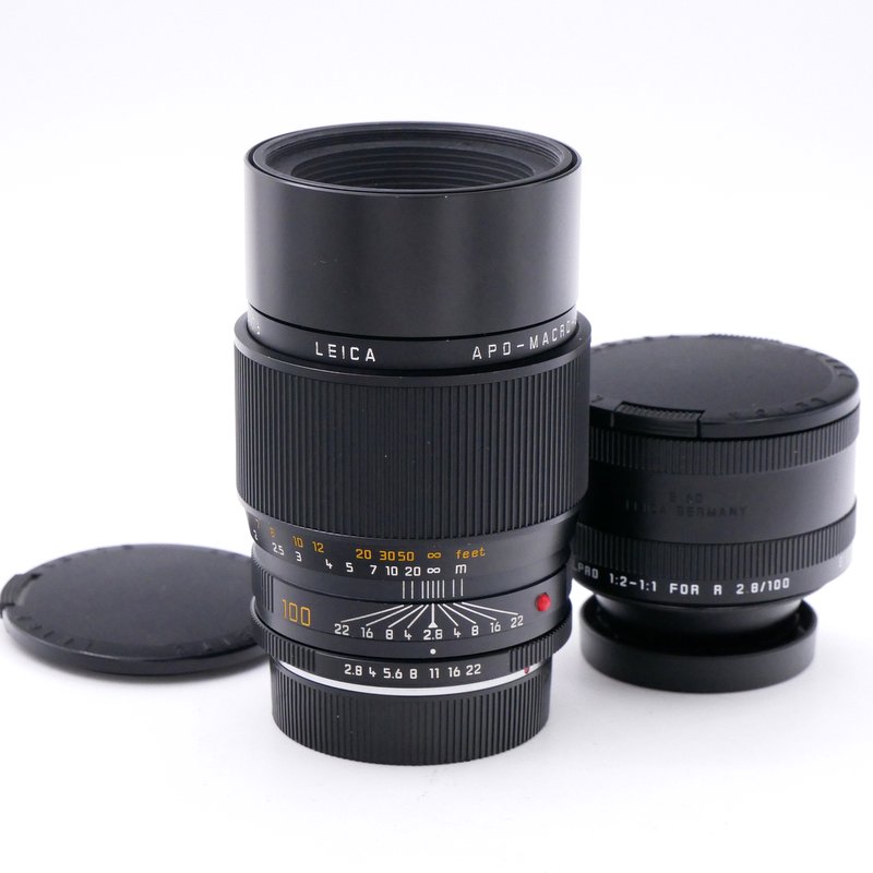 Best image for Leica MF 100mm F/2.8 APO Macro Elmarit-R Lens + Elpro 1:2 - 1:1 