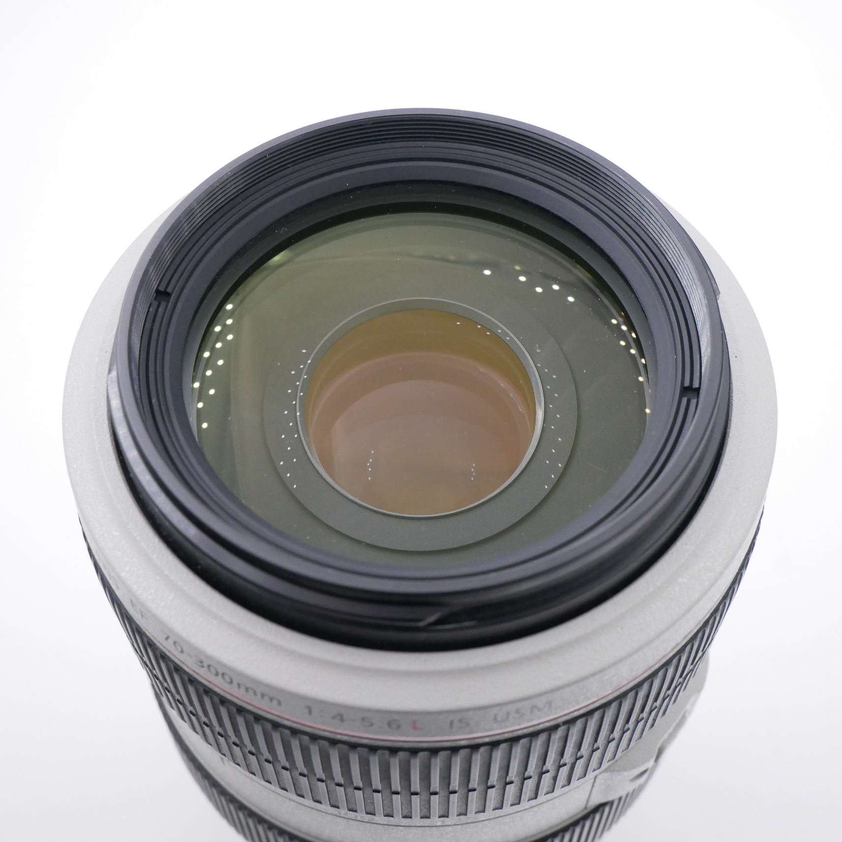 S-H-EH6K6X_2.jpg - Canon EF 70-300mm F4-5.6 L IS USM Lens - Image 1