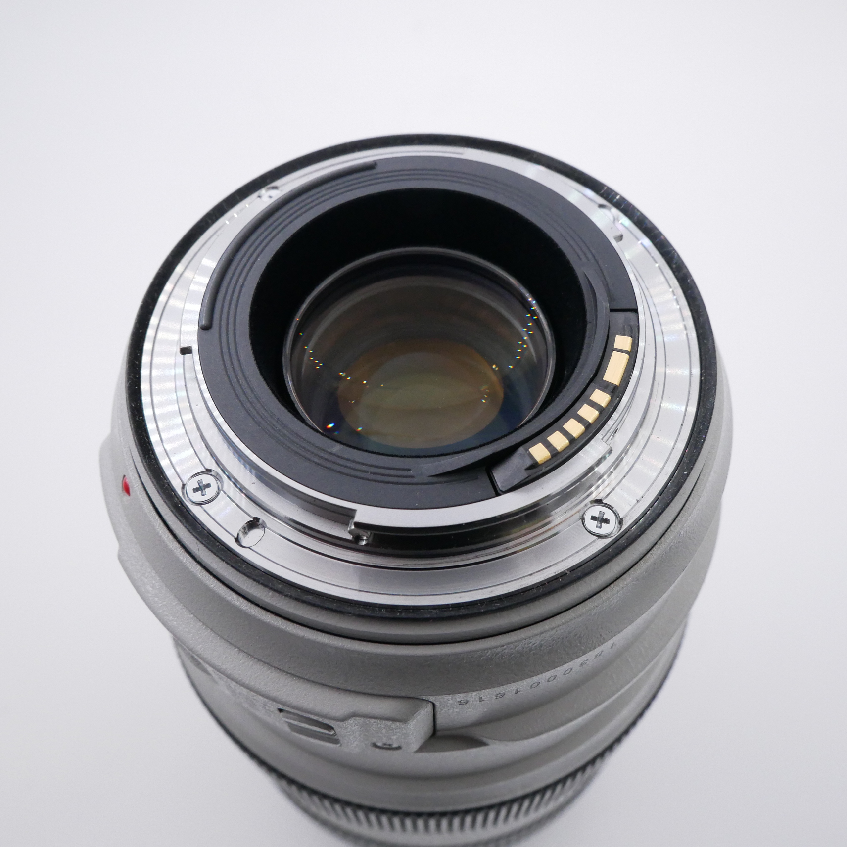 S-H-EH6K6X_3.jpg - Canon EF 70-300mm F4-5.6 L IS USM Lens - Image 2