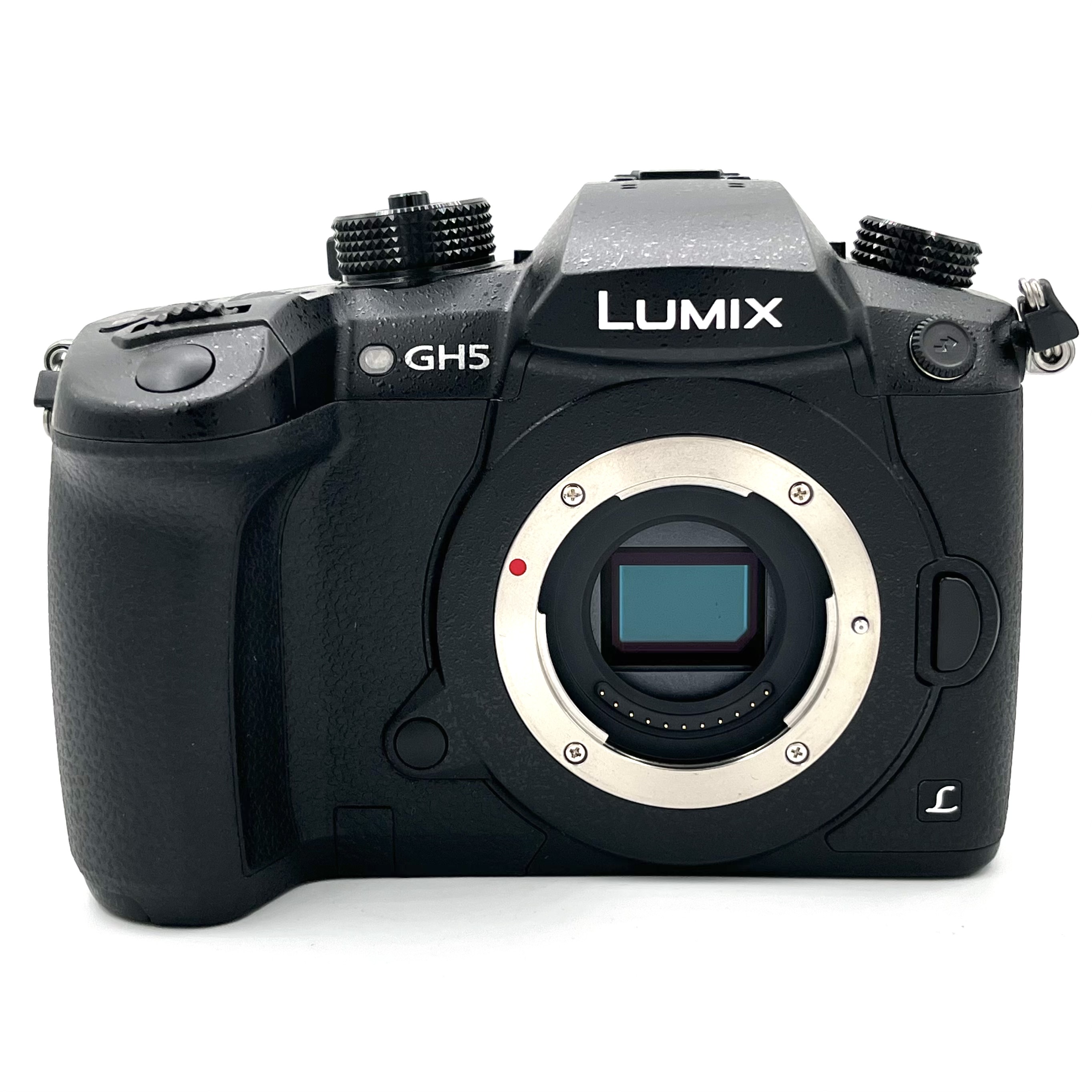 S-H-MK4XKC_2.jpeg - Panasonic Lumix GH5 Body Only: 54 Frames! - Image 3