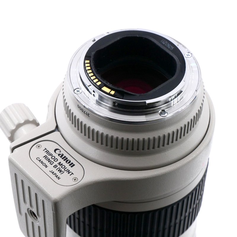 S-H-SURW66_4.jpg - Canon EF 70-200mm F/2.8 L USM Lens - Image 3