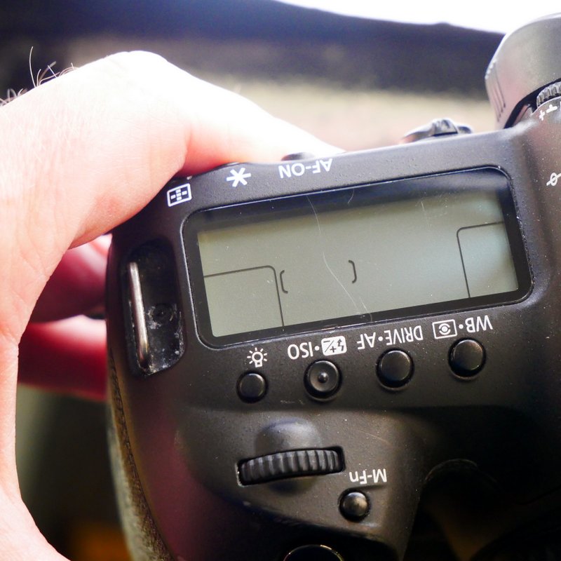 S-H-T4TEAF_5.jpg - Canon 5D IV Body - 46K Frames - Image 4