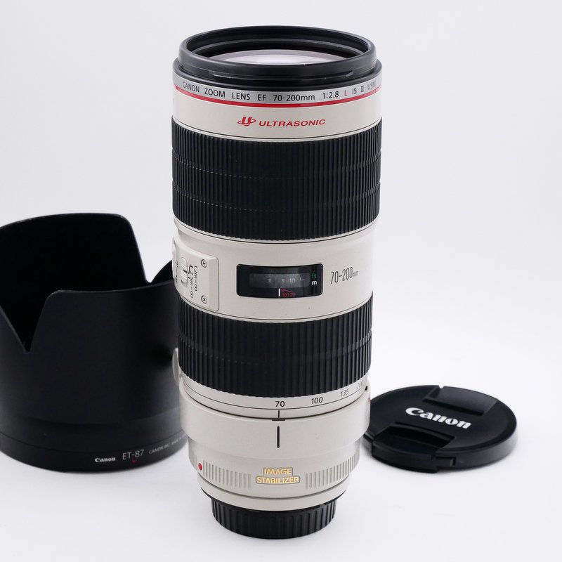 Best image for Canon EF 70-200mm F/2.8 L IS II USM Lens